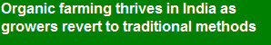 angel_lucy_wellness_project005005.jpg