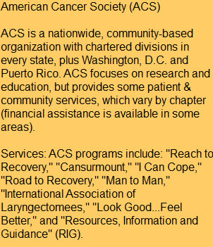 angel_lucy_wellness_project031016.jpg